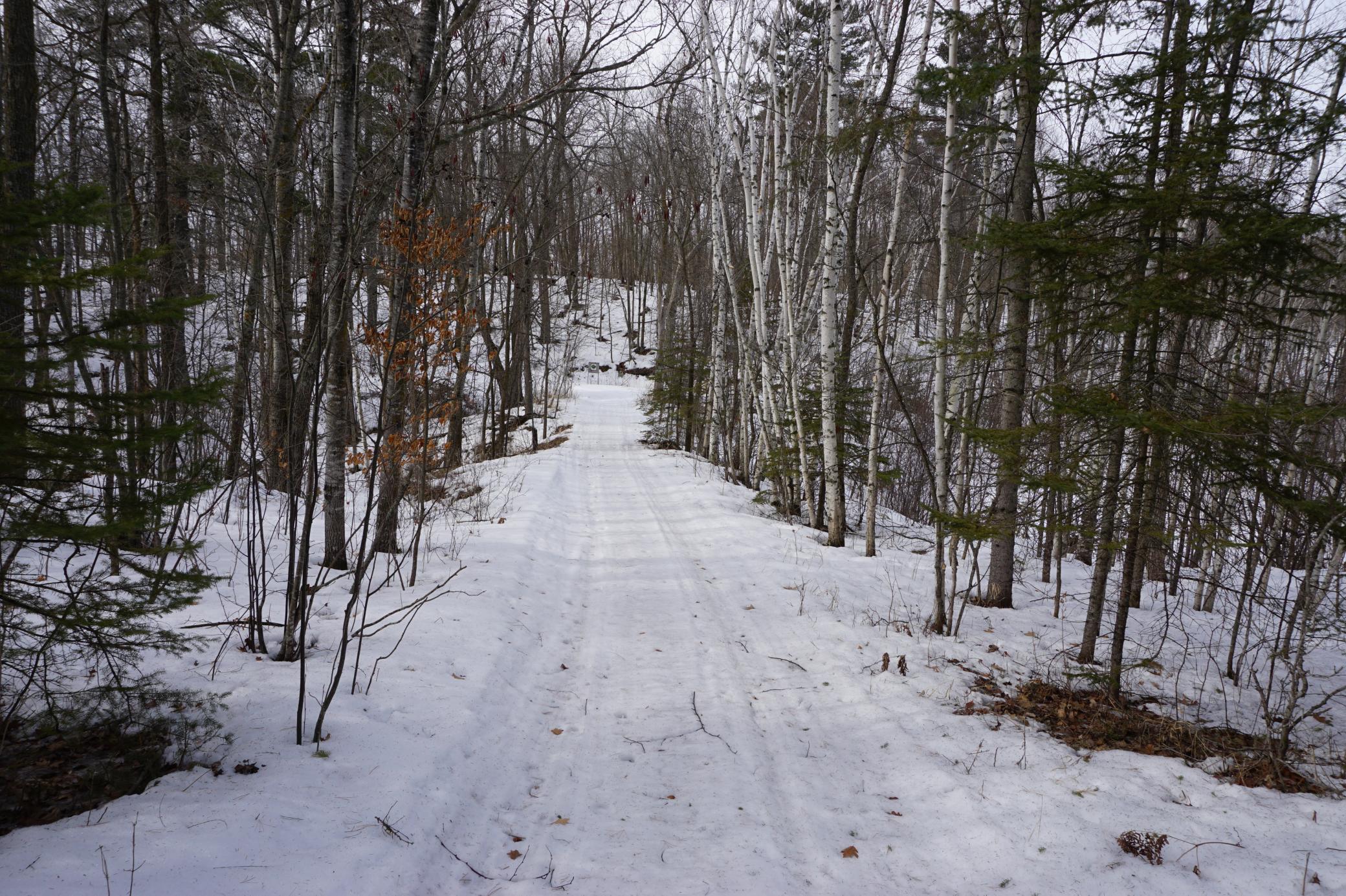 51183 Timberwolf Trail Leonard, MN 56652 - Photo 26 of 35