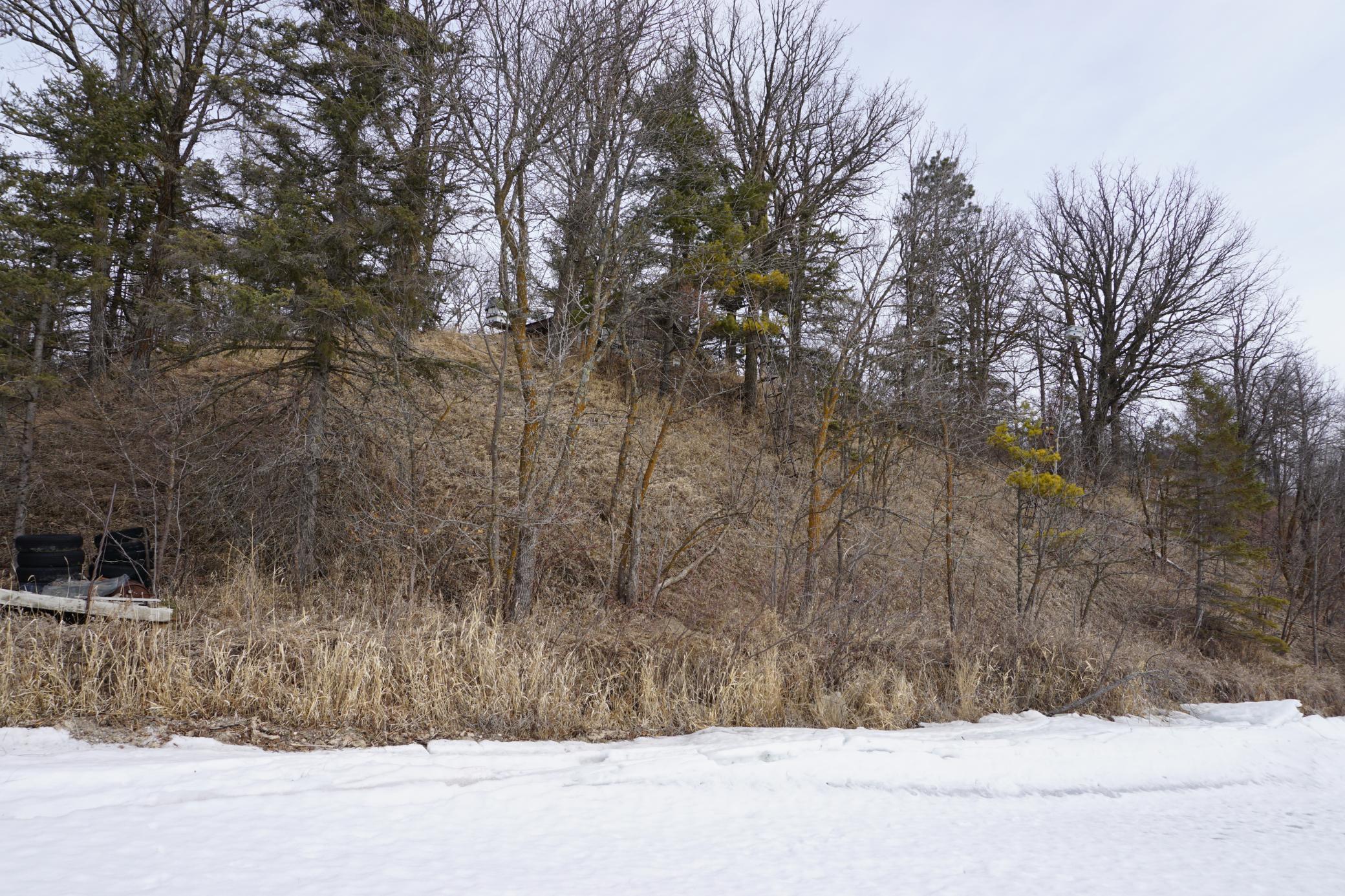 51183 Timberwolf Trail Leonard, MN 56652 - Photo 30 of 35