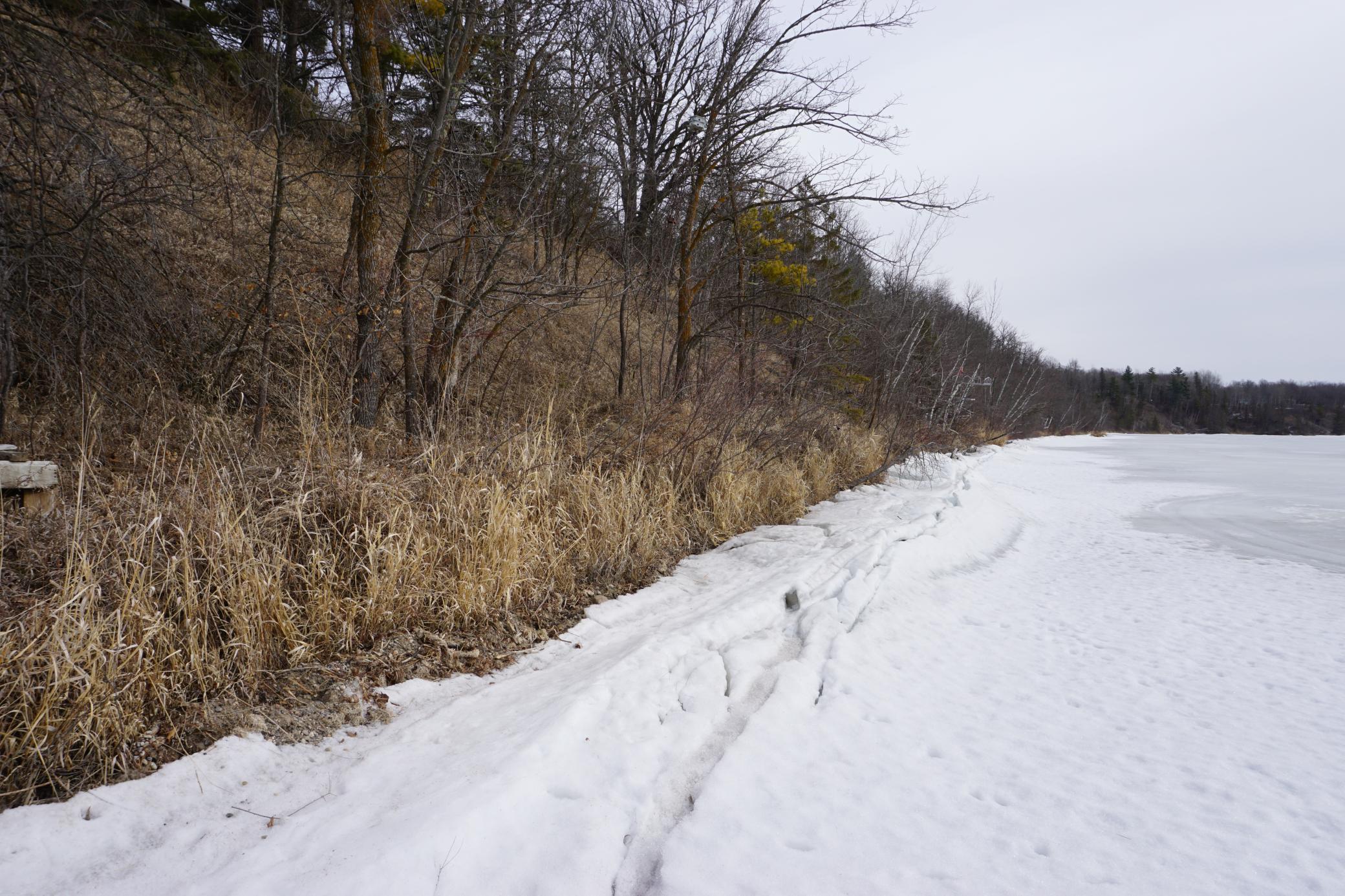 51183 Timberwolf Trail Leonard, MN 56652 - Photo 31 of 35