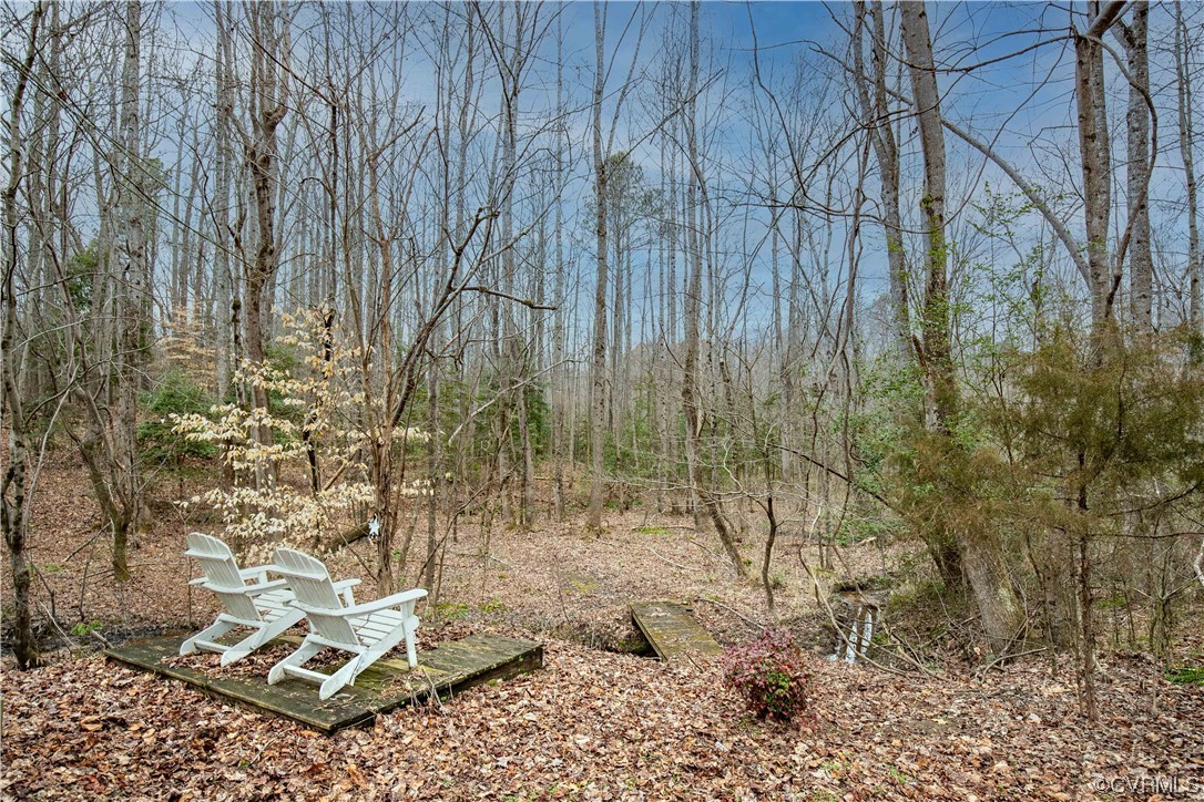 15250 Lebanon Road Spring Grove, VA 23881 - Photo 20 of 48 Gallery Image 20
