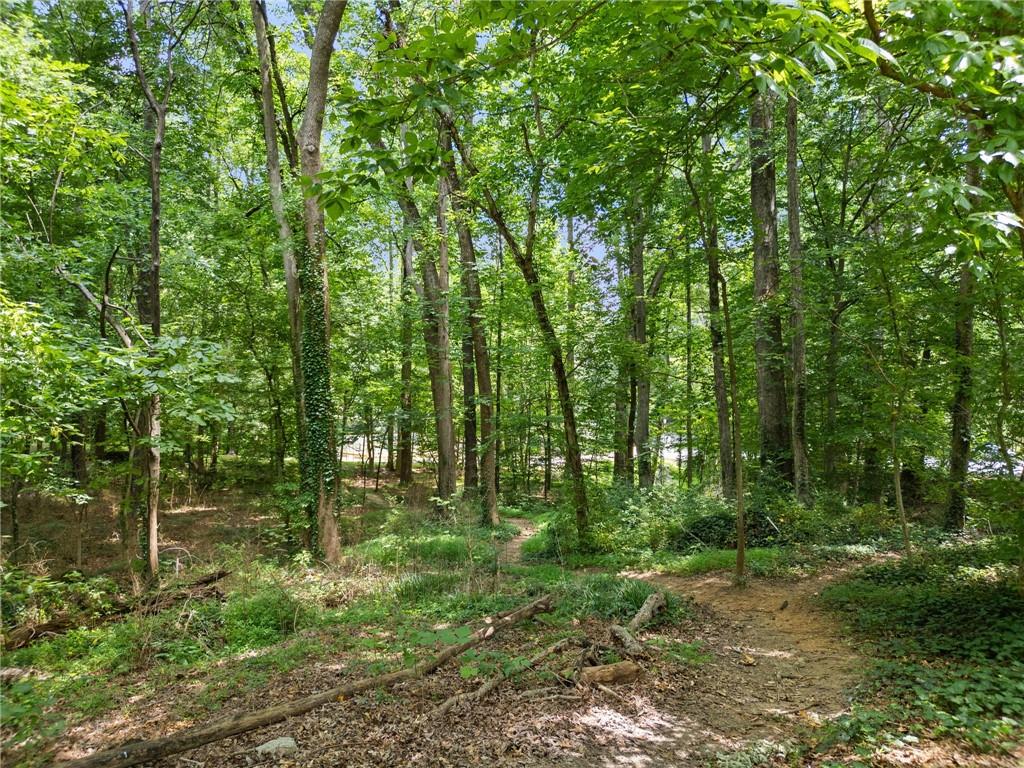 1468 Briarwood Road Northeast, Unit 108 Atlanta, GA 30319 - Photo 32 of 33 a big yard with lots of green space and trees