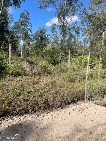 a view of a yard covered in snow