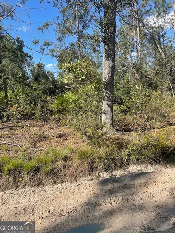 a view of a yard with large trees