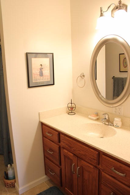 310 Altice Mill Road Rocky Mount, VA 24151 - Photo 20 of 35 Hall Bath - Full