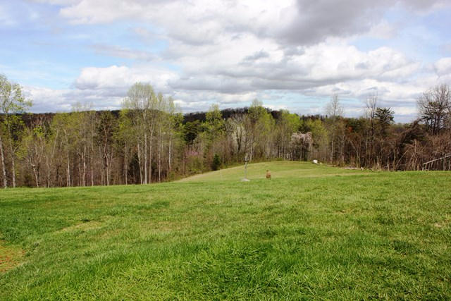 310 Altice Mill Road Rocky Mount, VA 24151 - Photo 26 of 35 Beautiful 5 acres