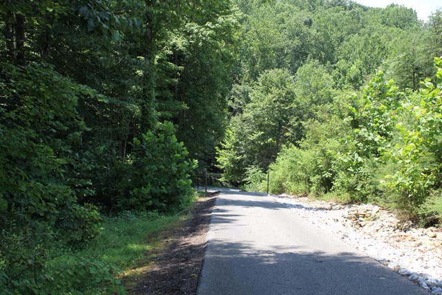Private Driveway/Paved