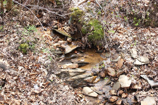 Stream
