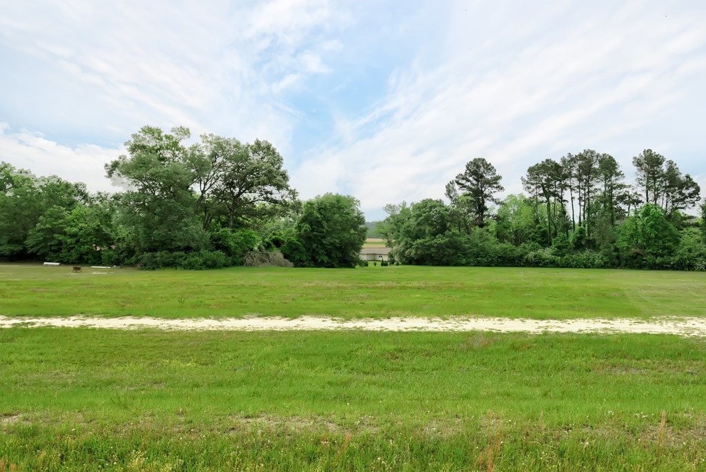 Lot 3 McCord Road Dothan, AL 36301 - Photo 3 of 10
