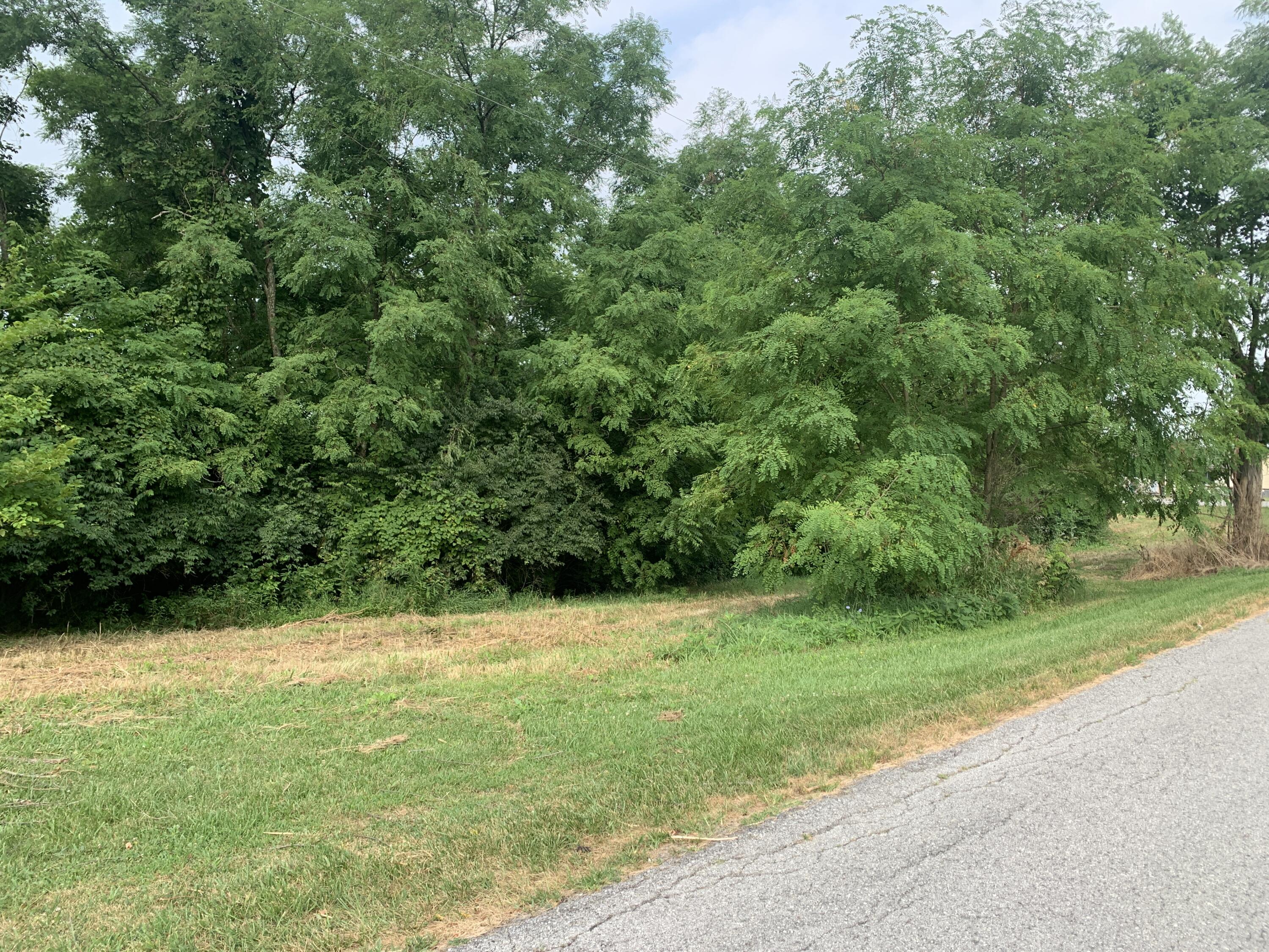 2.2-acres Kennedy Ridge Road Falmouth, KY 41040 - Photo 6 of 11 Gallery Image 6