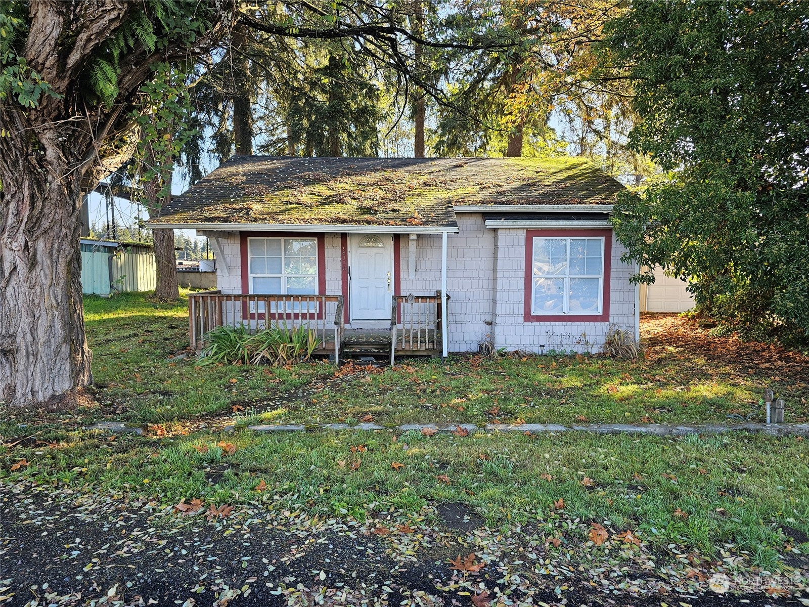 a view of a house with yard and a tree