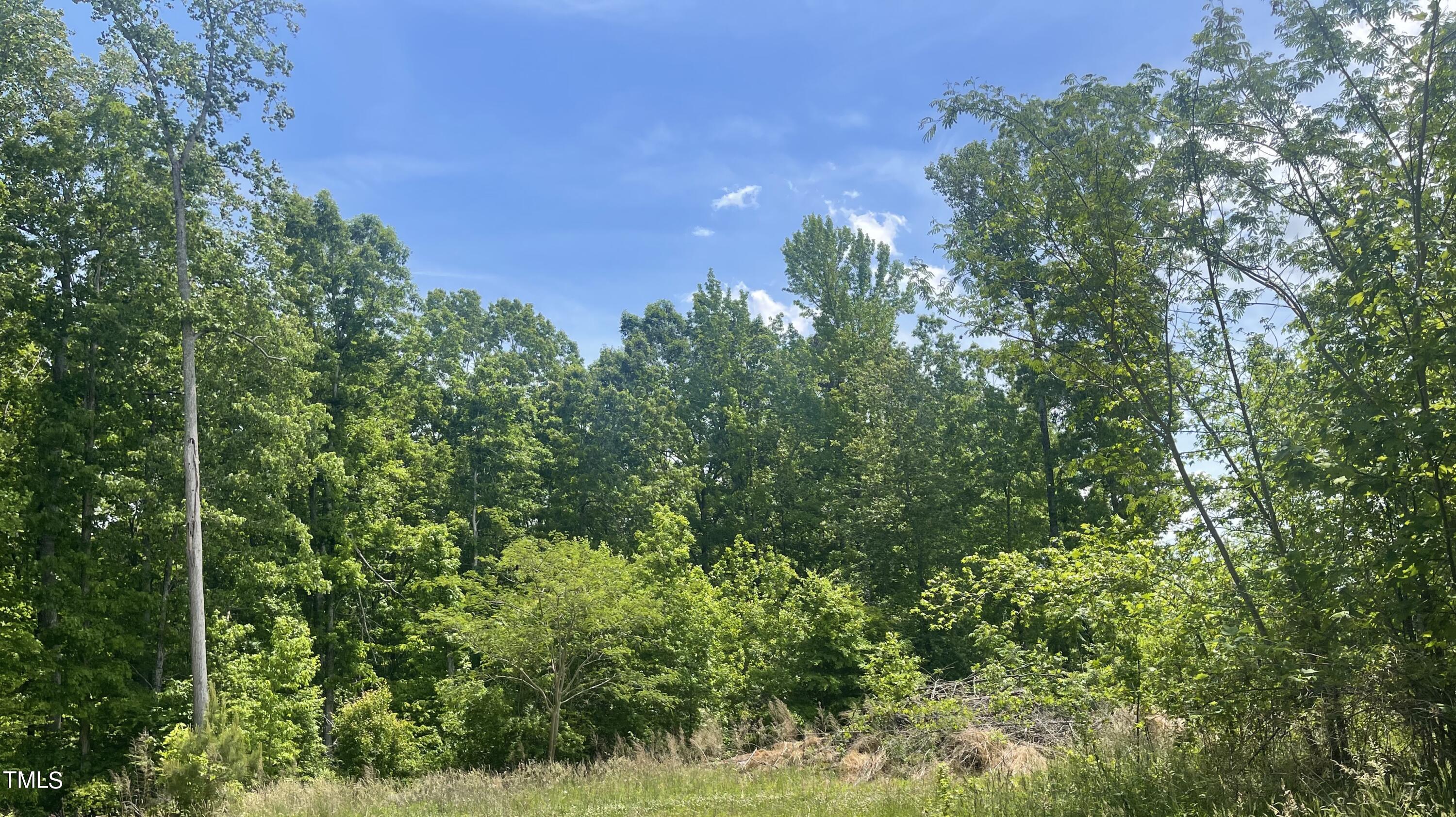 Lot 6-7 Hunters Circle Rougemont, NC 27572 - Photo 3 of 4 3F09C6B8-3312-431F-9836-B4313AA7304C