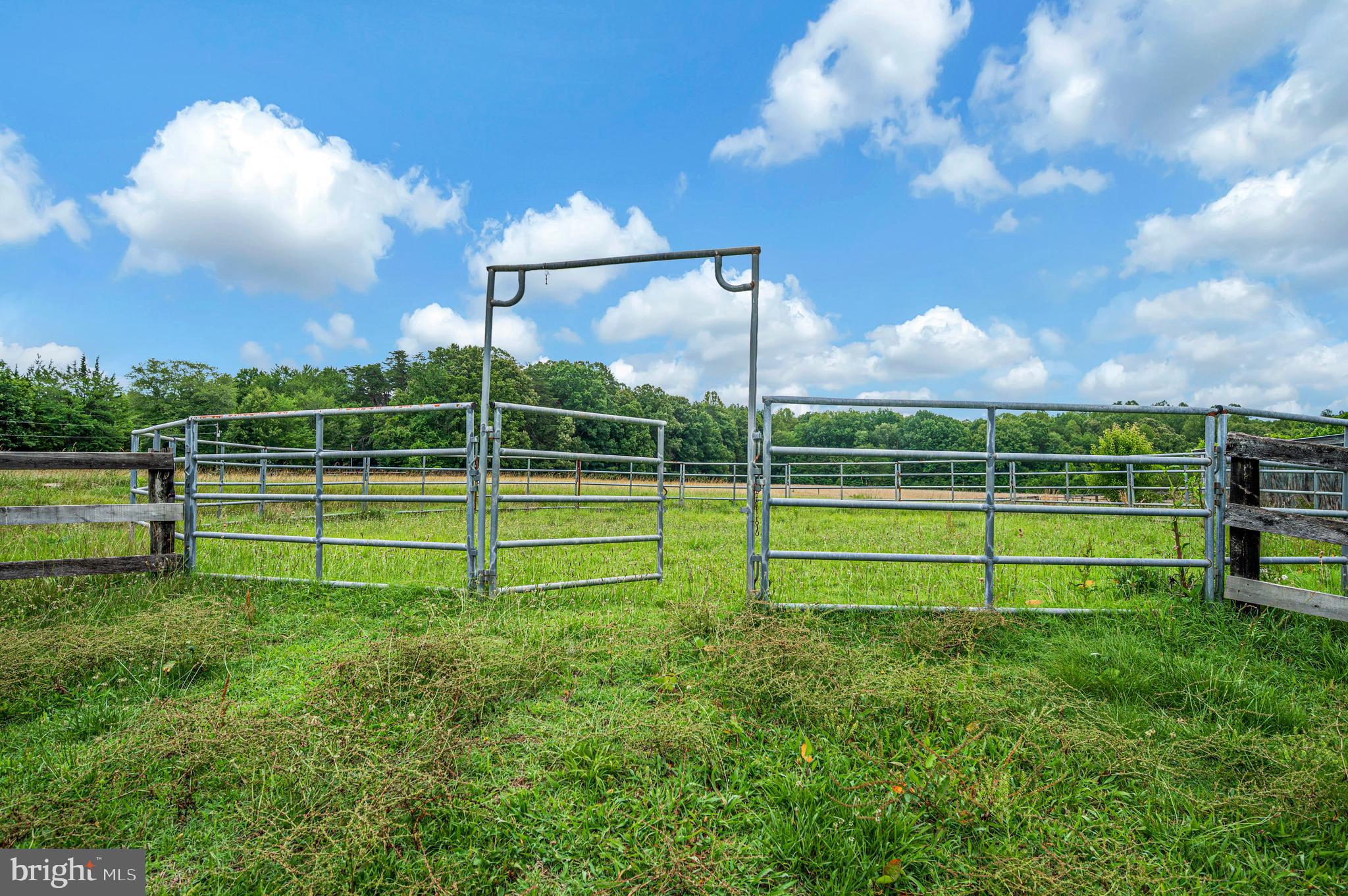 6317 Louisianna Road Locust Grove, VA 22508 - Photo 40 of 57 Got horses? Bring 'em over!