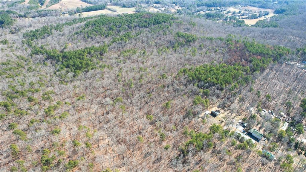 1 Bozeman Road Rydal, GA 30171 - Photo 17 of 25