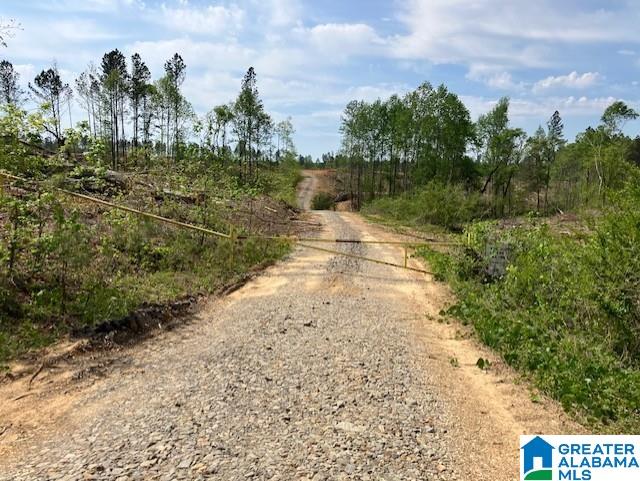 11482 Camp Oliver Road Adger, AL 35006 - Photo 2 of 48