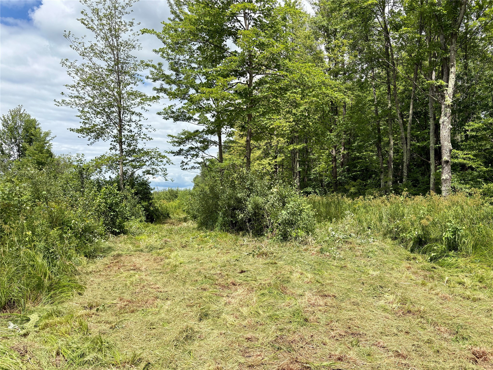 0 Girod Road Ladysmith, WI 54848 - Photo 2 of 9
