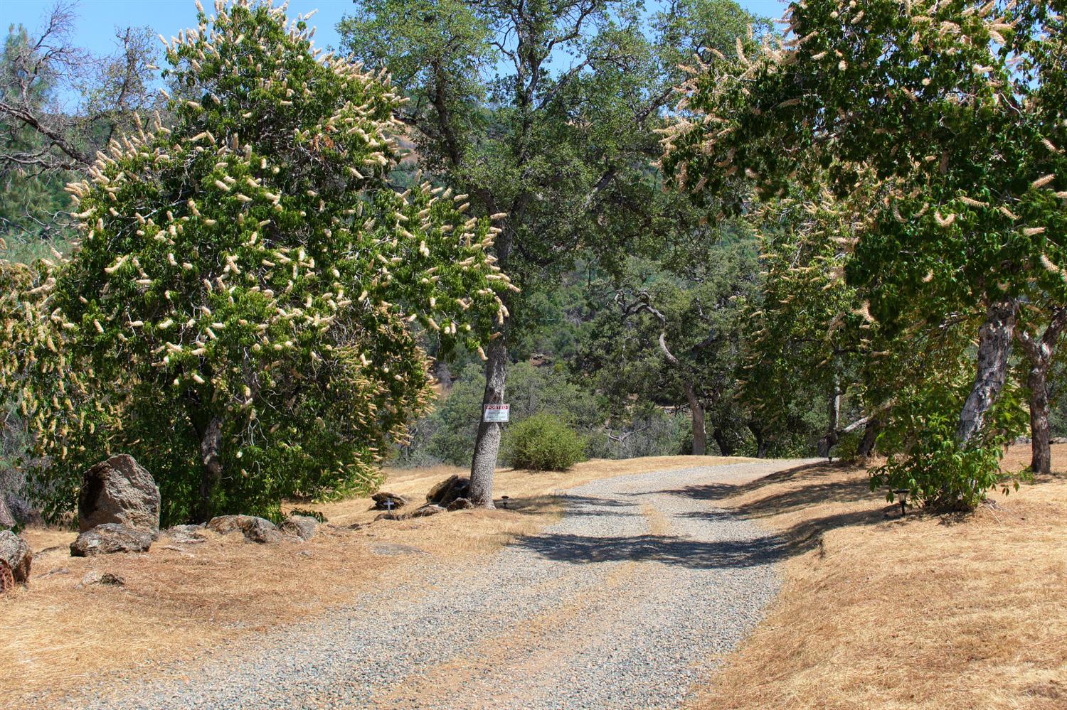 45806 Strawberry Road Coarsegold, CA 93614 - Photo 59 of 64 Gallery Image 59