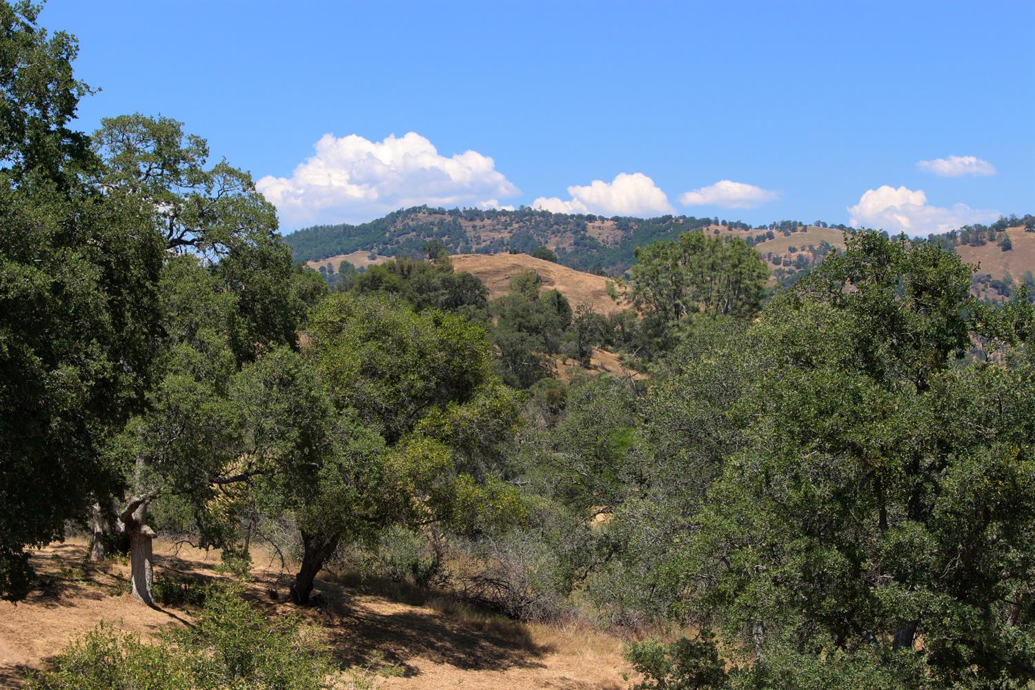 45806 Strawberry Road Coarsegold, CA 93614 - Photo 63 of 64 Gallery Image 63