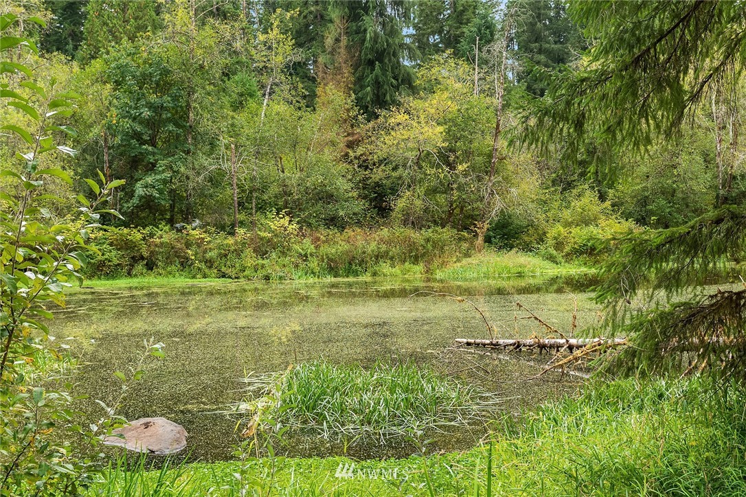 16313 Kelly Road Northeast Duvall, WA 98019 - Photo 16 of 40 Gallery Image 16