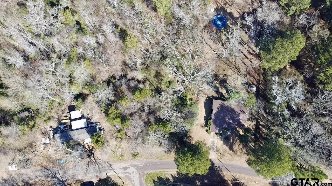 2155 County Road 2155 Quitman, TX 75783 - Photo 2 of 8