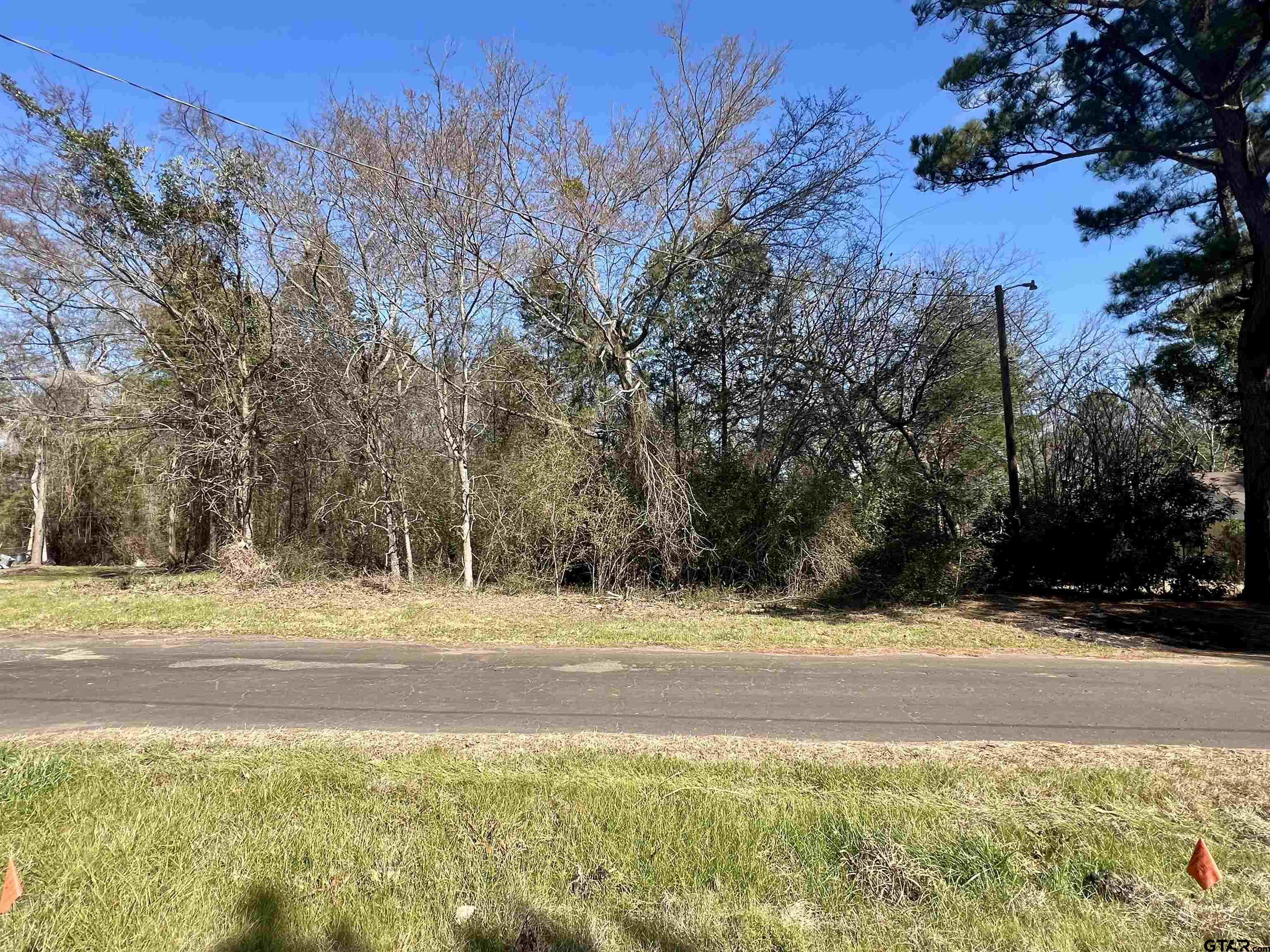 2155 County Road 2155 Quitman, TX 75783 - Photo 6 of 8