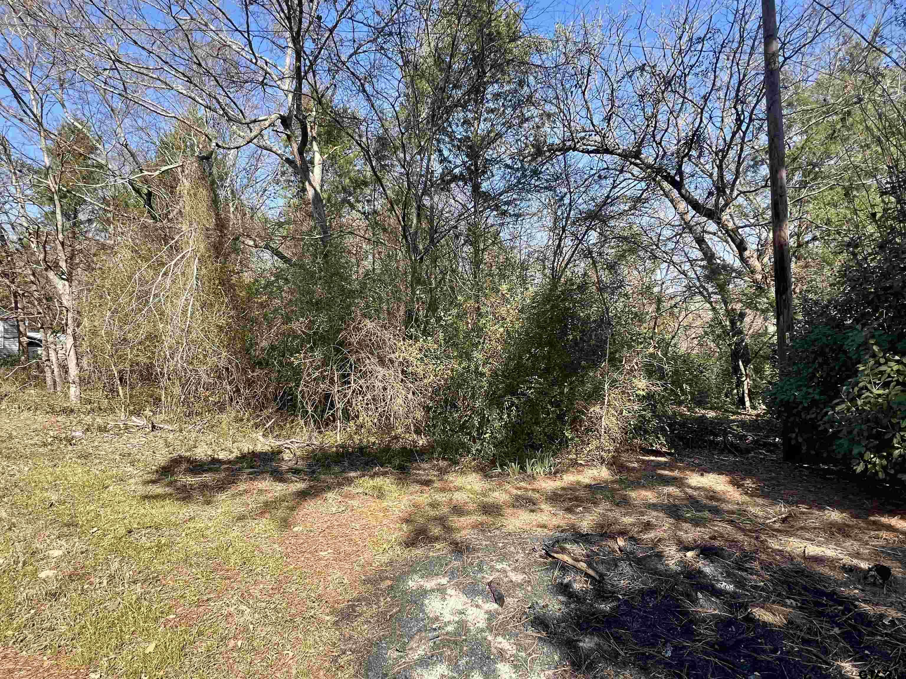 2155 County Road 2155 Quitman, TX 75783 - Photo 8 of 8