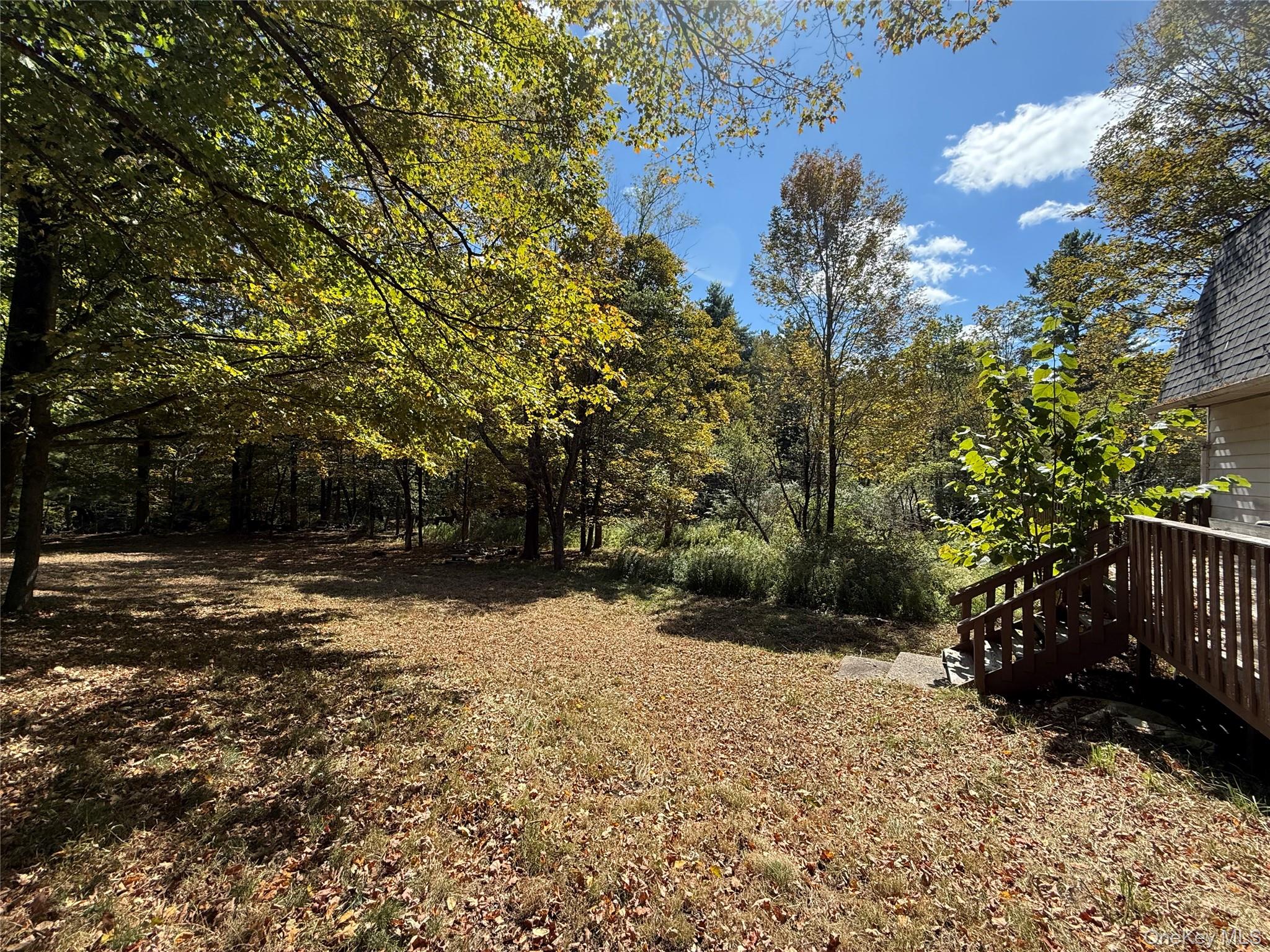 5 Plank Road Mongaup Valley, NY 12762 - Photo 11 of 30 a view of backyard with tree