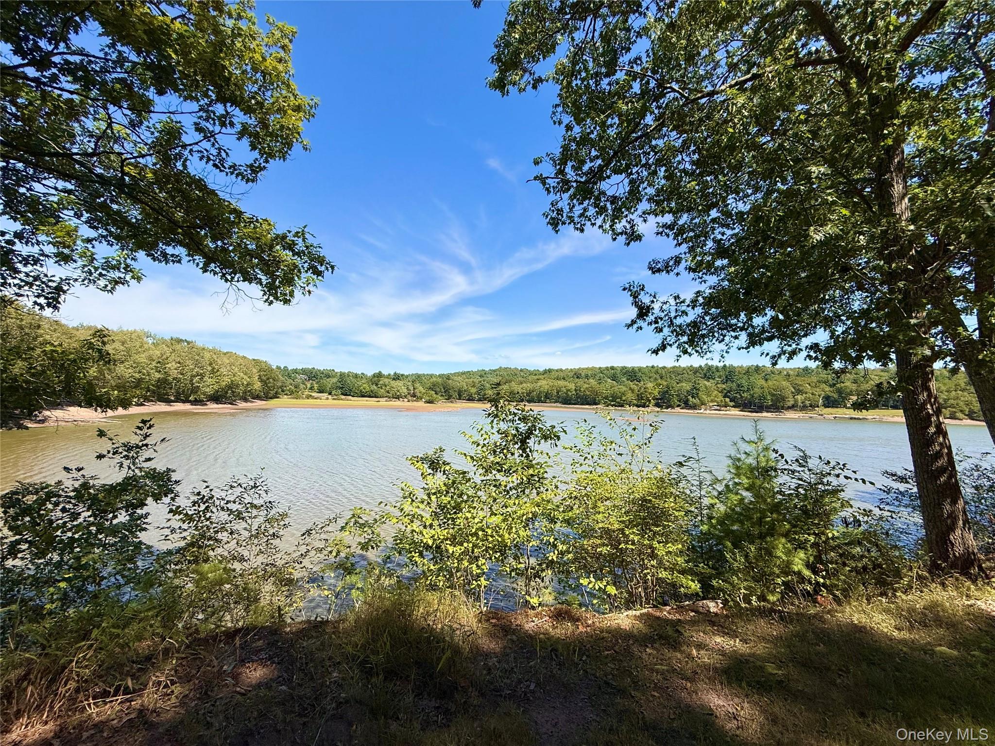5 Plank Road Mongaup Valley, NY 12762 - Photo 29 of 30 a view of lake with green space