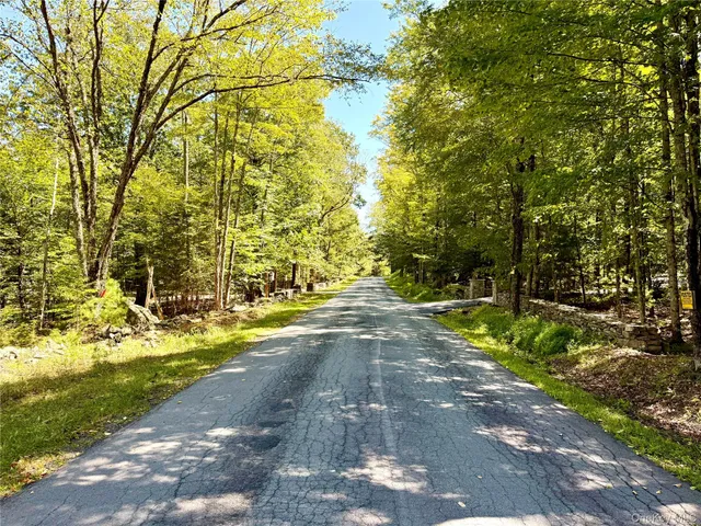 a view of yard with large tree