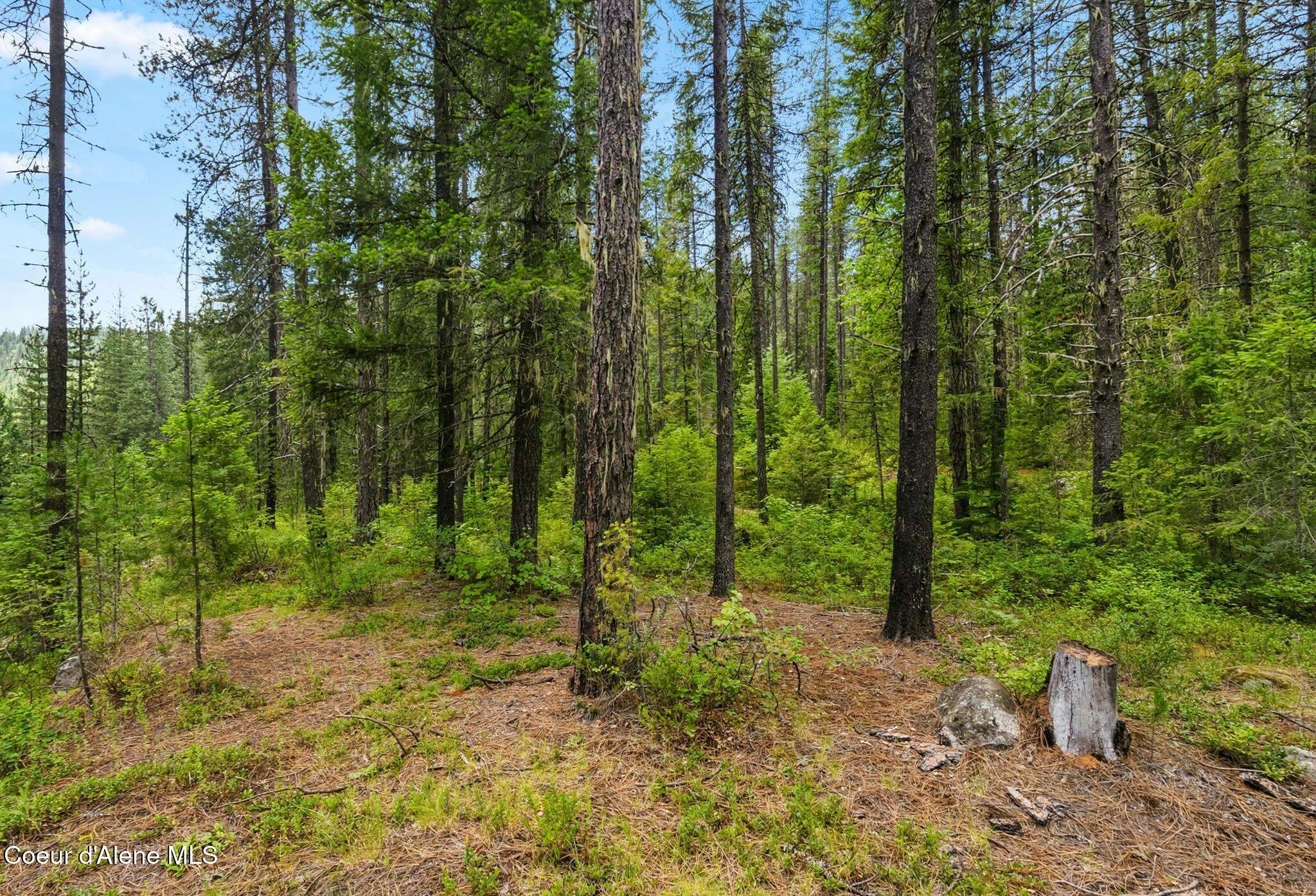 Nna Lantern Lane Sandpoint, ID 83864 - Photo 26 of 29 23_DSC05968