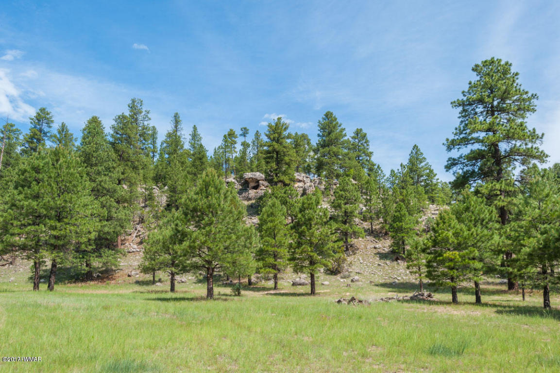 412 Forest Service Road Heber, AZ 85928 - Photo 12 of 65