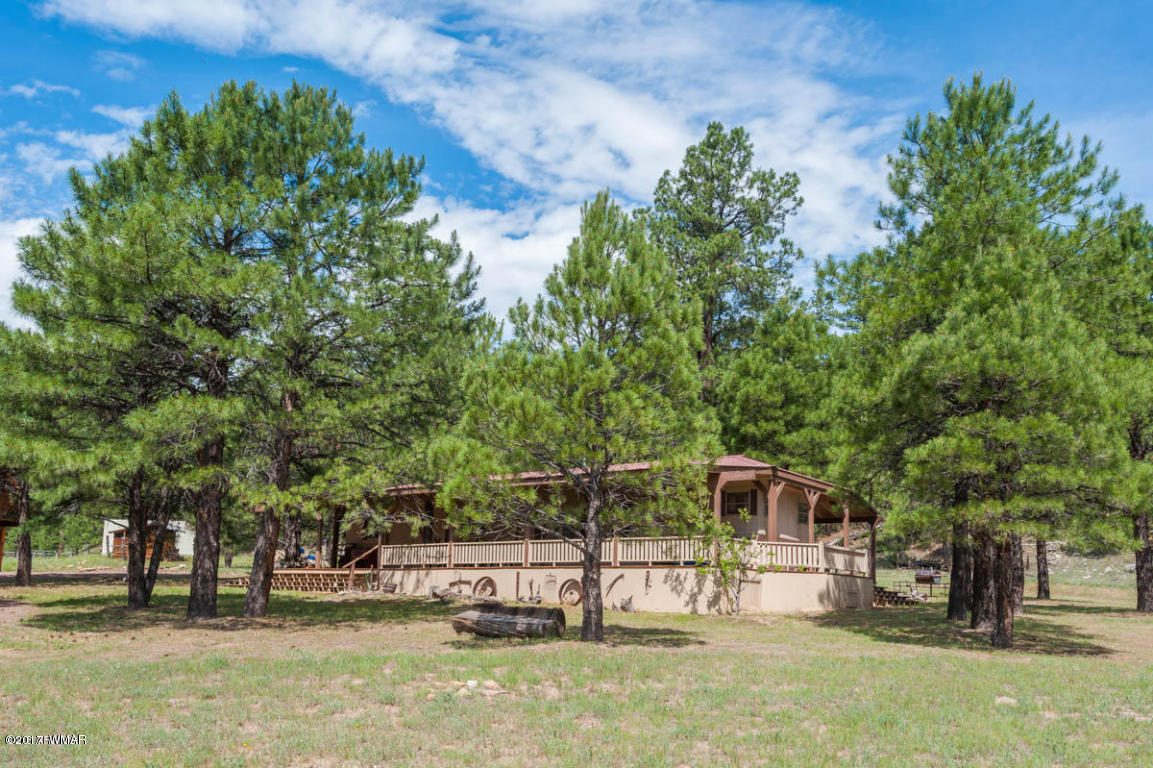 412 Forest Service Road Heber, AZ 85928 - Photo 13 of 65
