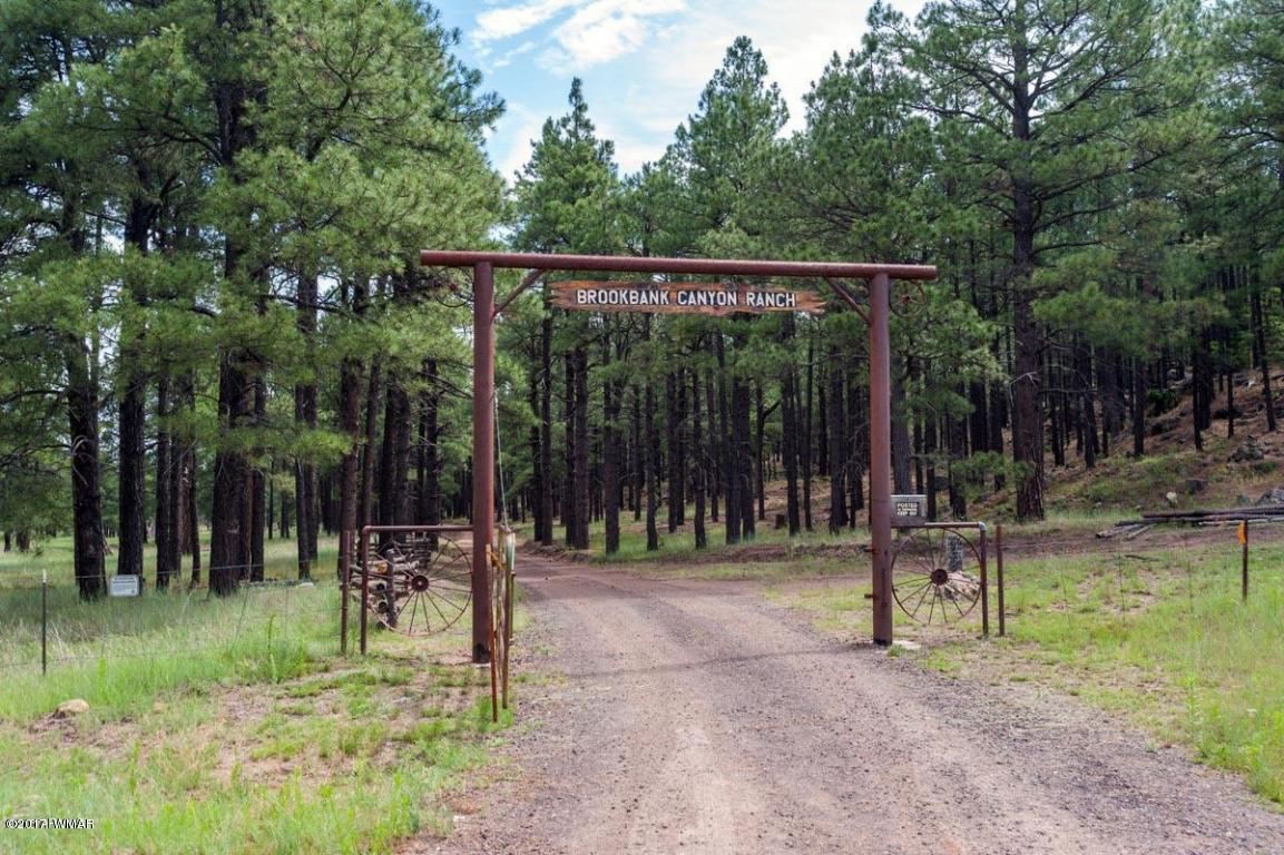 412 Forest Service Road Heber, AZ 85928 - Photo 2 of 65