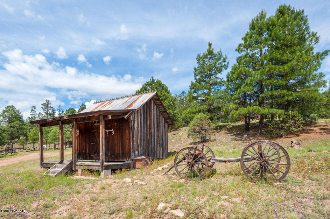 412 Forest Service Road Heber, AZ 85928 - Photo 4 of 65