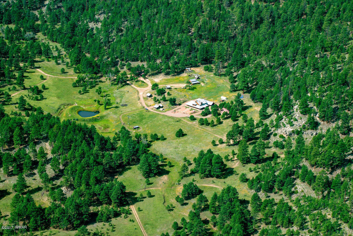 412 Forest Service Road Heber, AZ 85928 - Photo 59 of 65