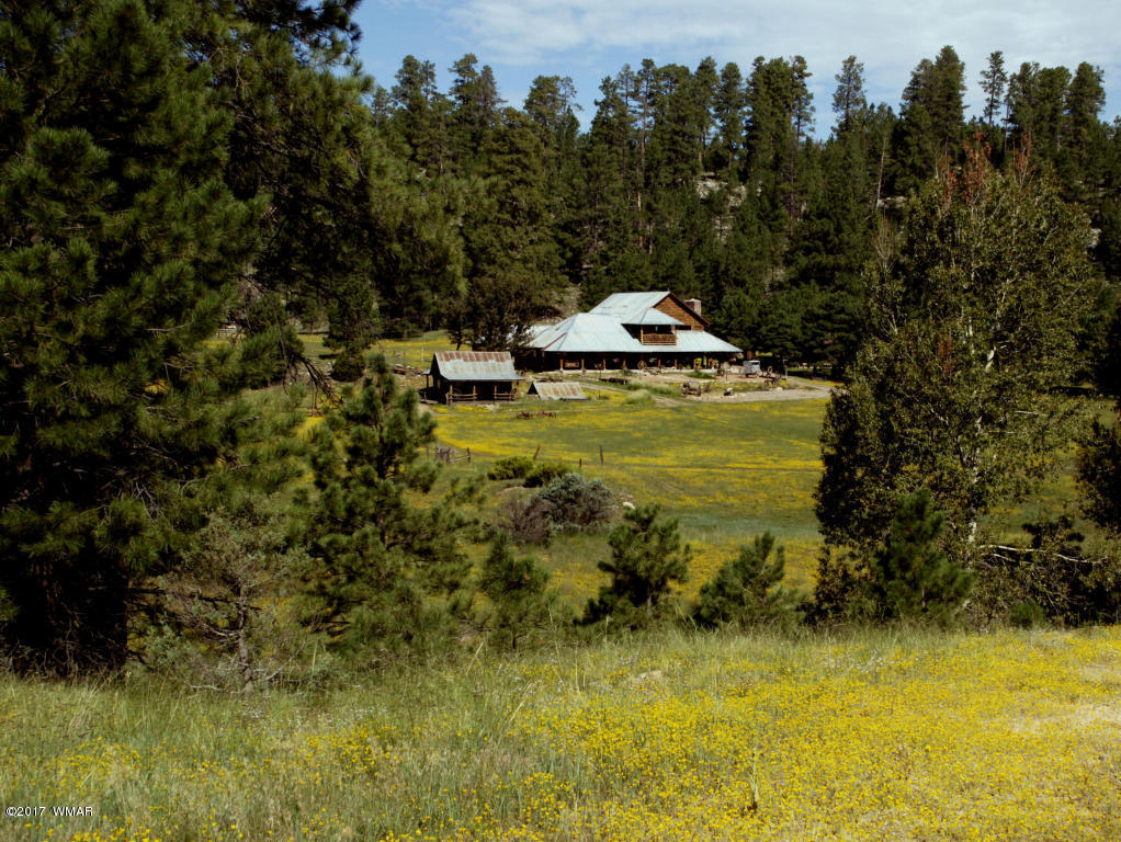 412 Forest Service Road Heber, AZ 85928 - Photo 61 of 65