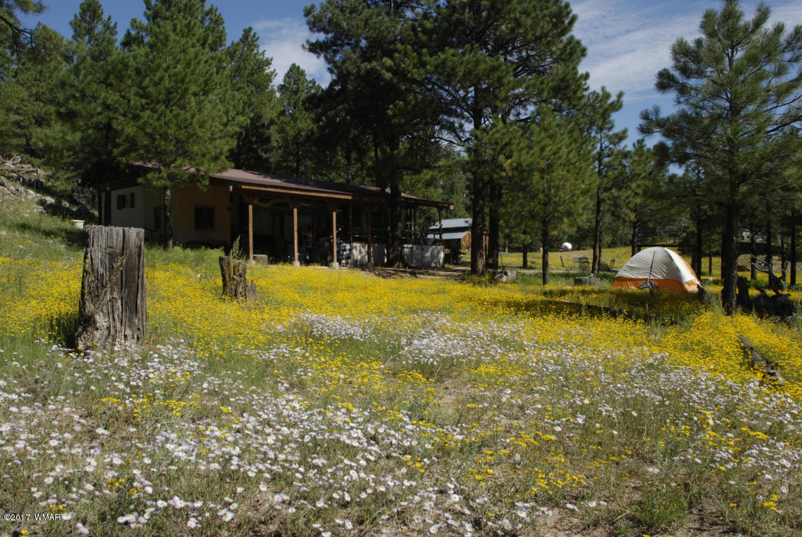 412 Forest Service Road Heber, AZ 85928 - Photo 62 of 65