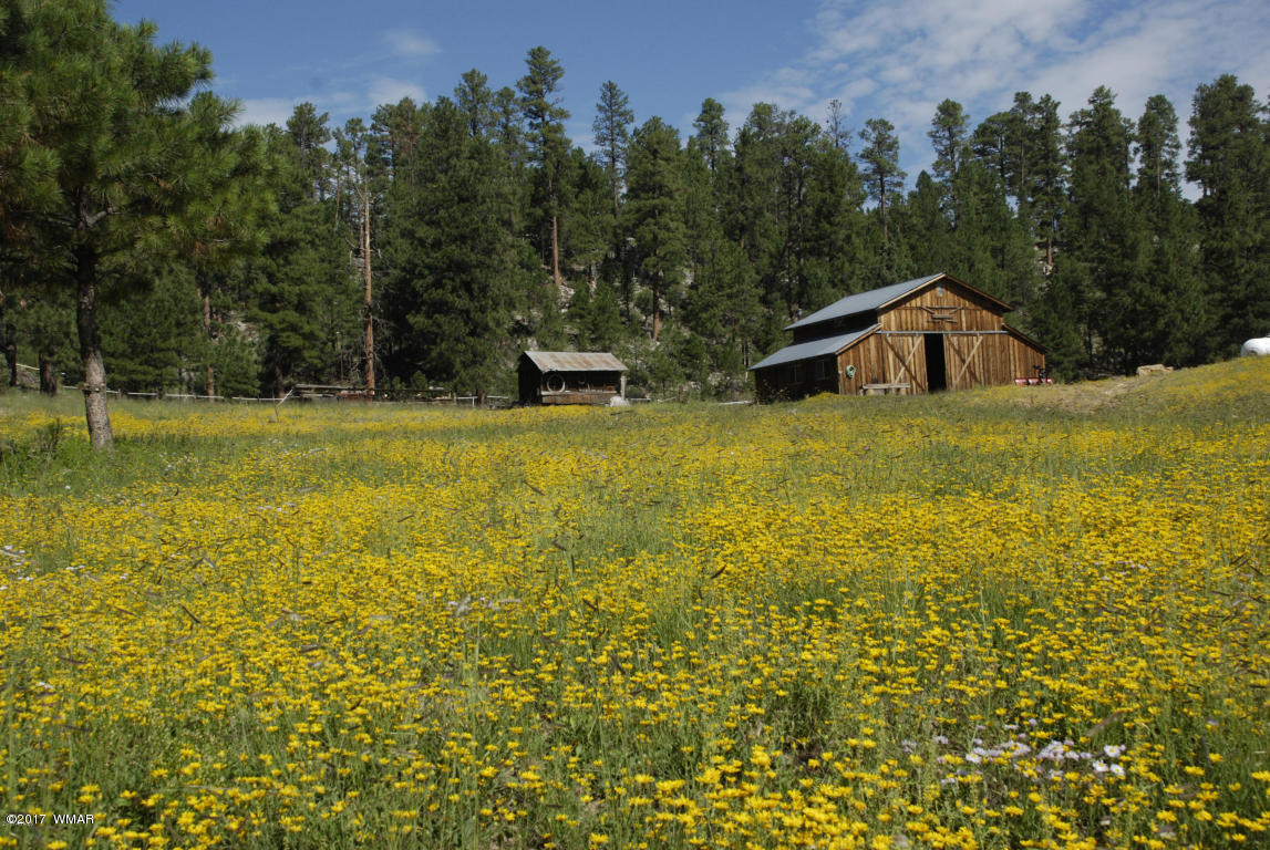 412 Forest Service Road Heber, AZ 85928 - Photo 63 of 65