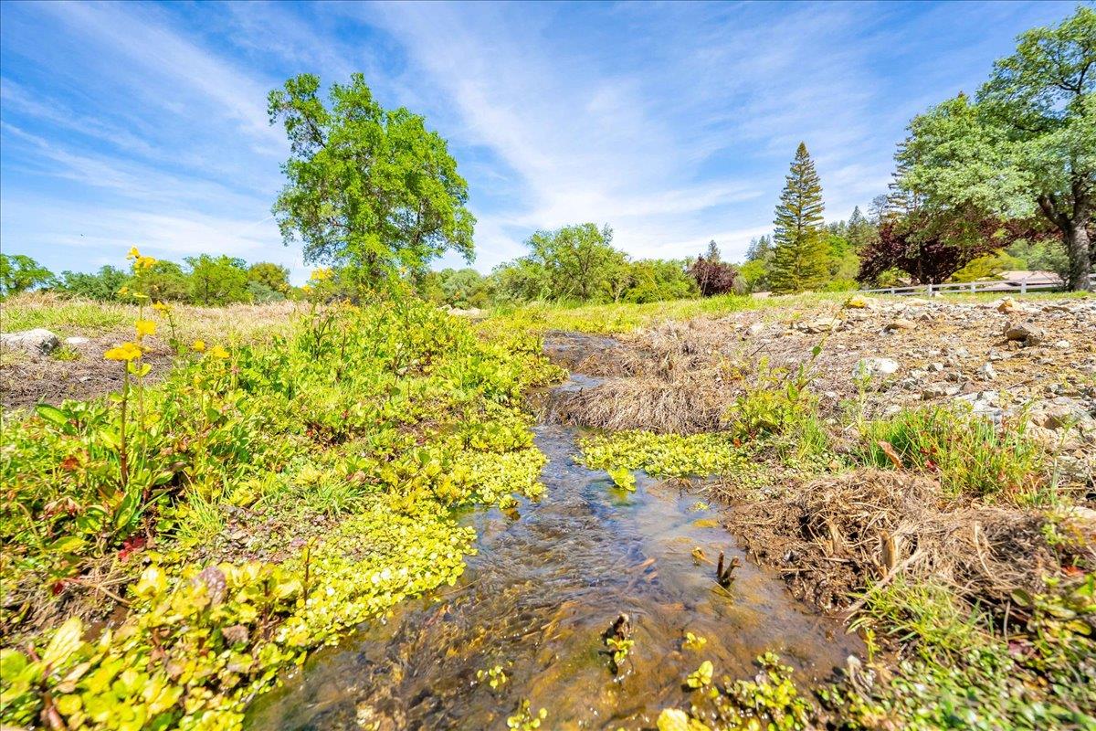 14035 Riva Ridge Circle Auburn, CA 95602 - Photo 5 of 42