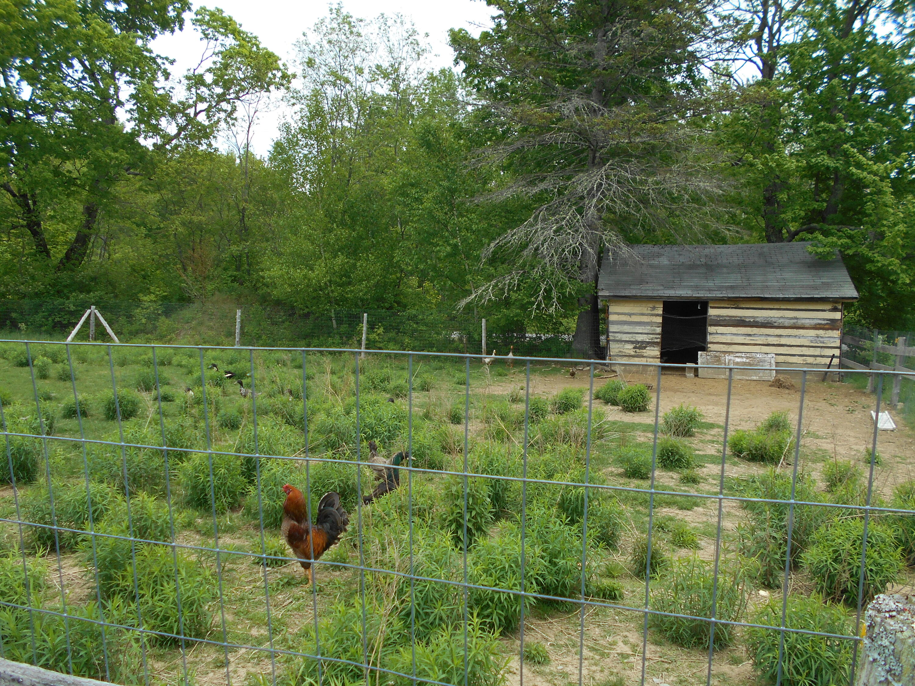 840 North Chester Road Lincoln, ME 04457 - Photo 23 of 68 DSCN7774