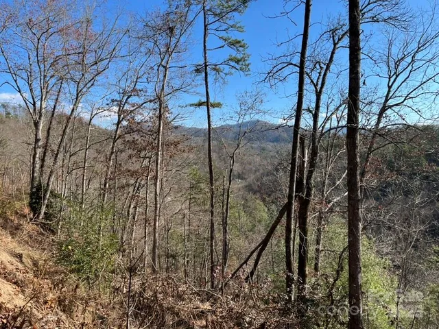 a big yard with table and chairs