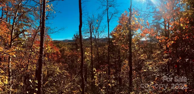 a view of a backyard of the house