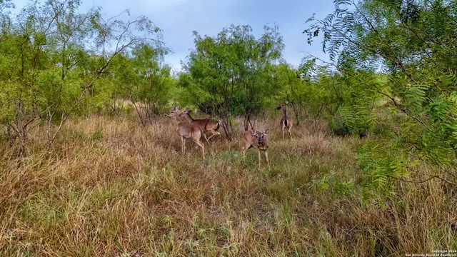 $209,700 | 3 Hwy 173 Devine Tx 78016, Devine, TX 78016