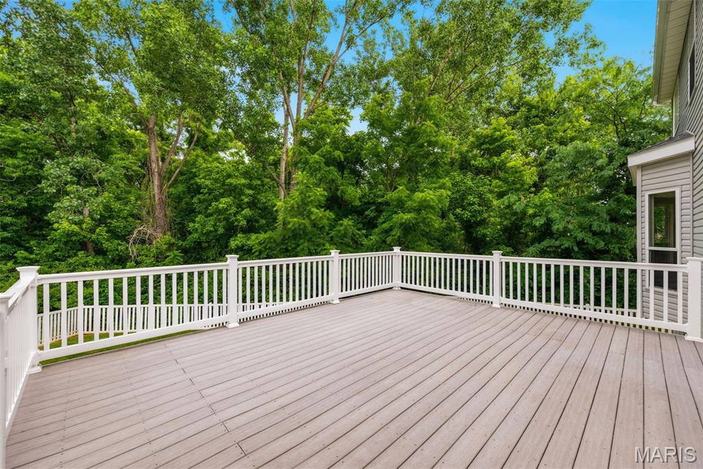 420 Rascal Crossing O'Fallon, MO 63366 - Photo 44 of 46