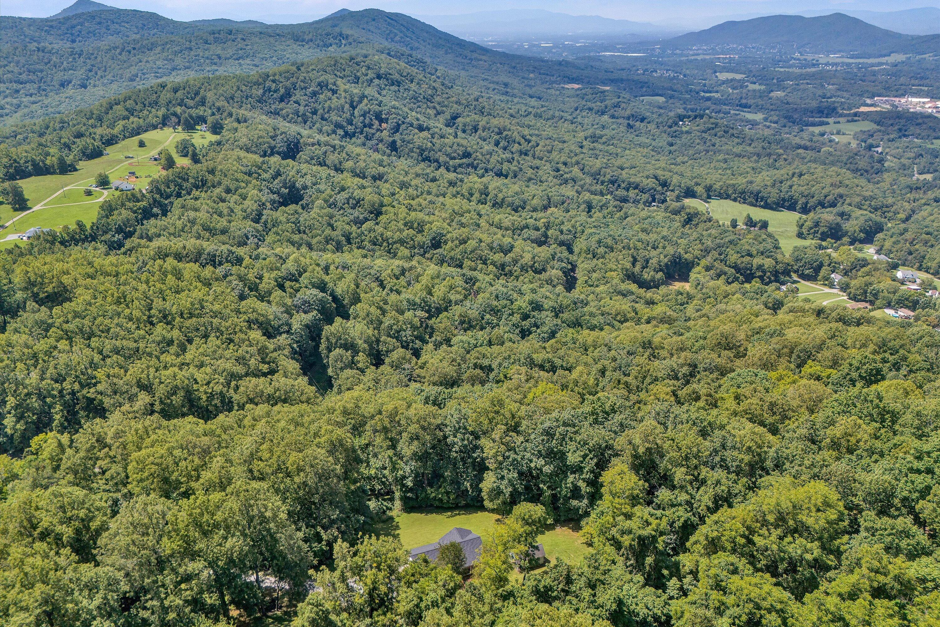 2651 Porters Mountain Road Blue Ridge, VA 24064 - Photo 39 of 43 41-Arial View