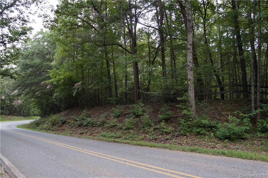 0 Golden Road, Unit P7599 Columbus, NC 28722 - Photo 2 of 4