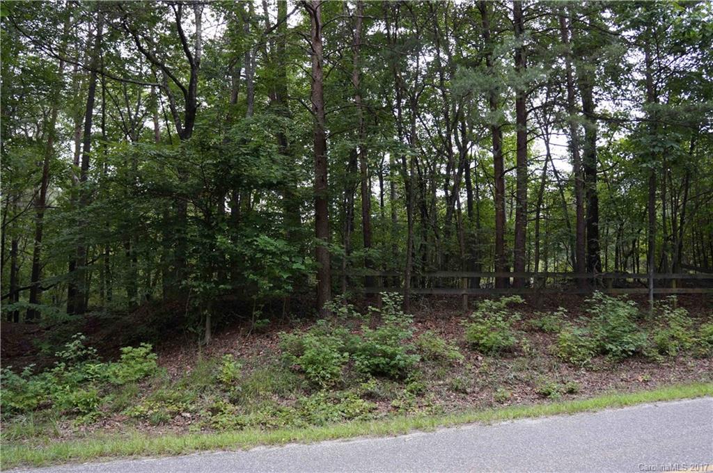 0 Golden Road, Unit P7599 Columbus, NC 28722 - Photo 4 of 4