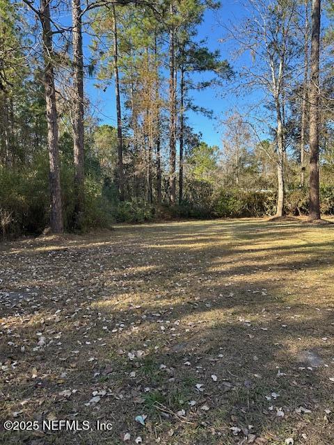 43347 Larsen Road Callahan, FL 32011 - Photo 21 of 31 IMG_9855