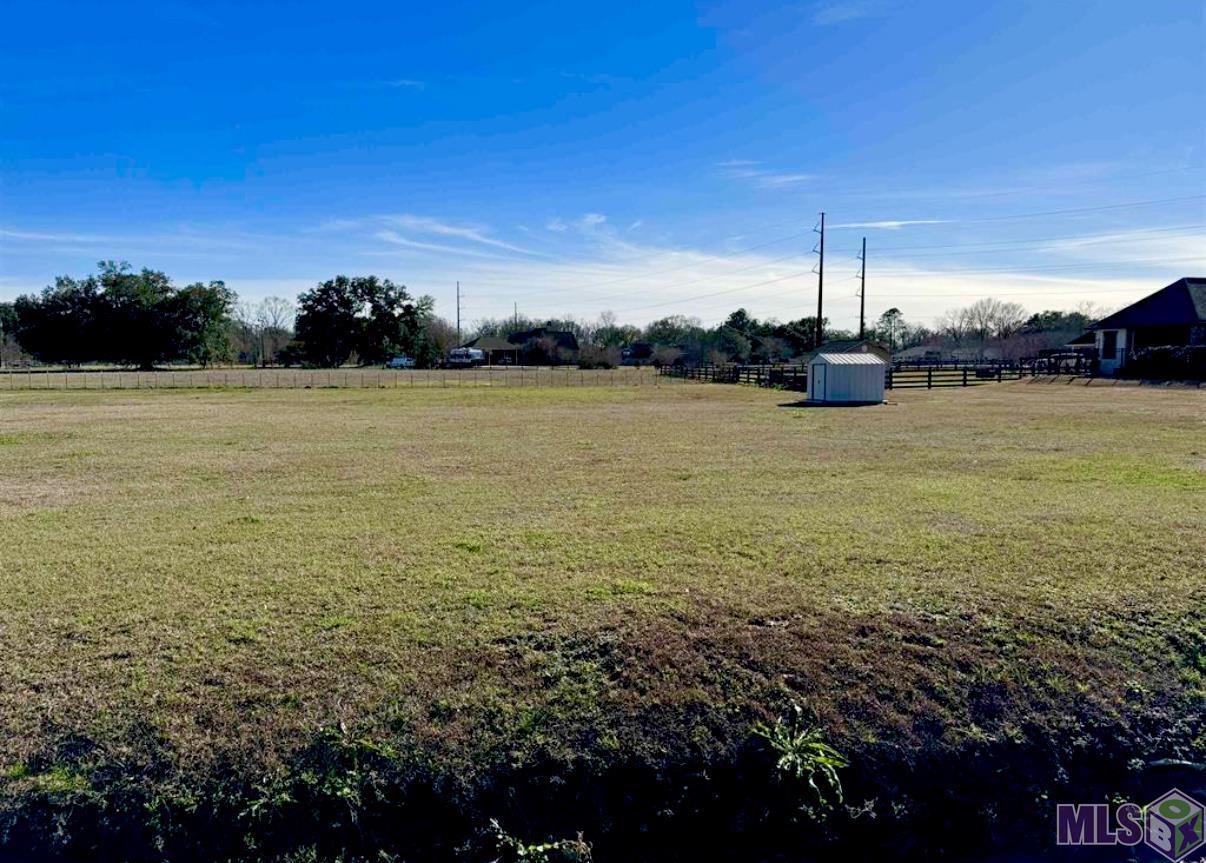 16424 Ronnie Road Prairieville, LA 70769 - Photo 3 of 6