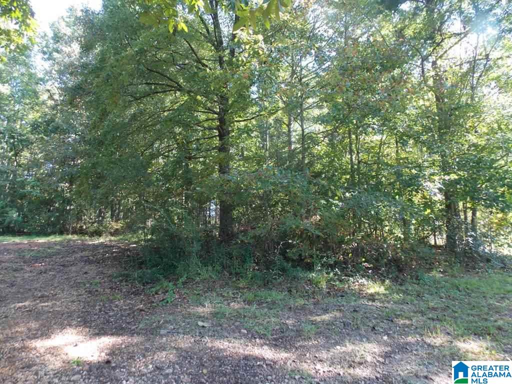 375 Marble Quarry Road, Unit 7 ACRES Talladega, AL 35160 - Photo 6 of 33