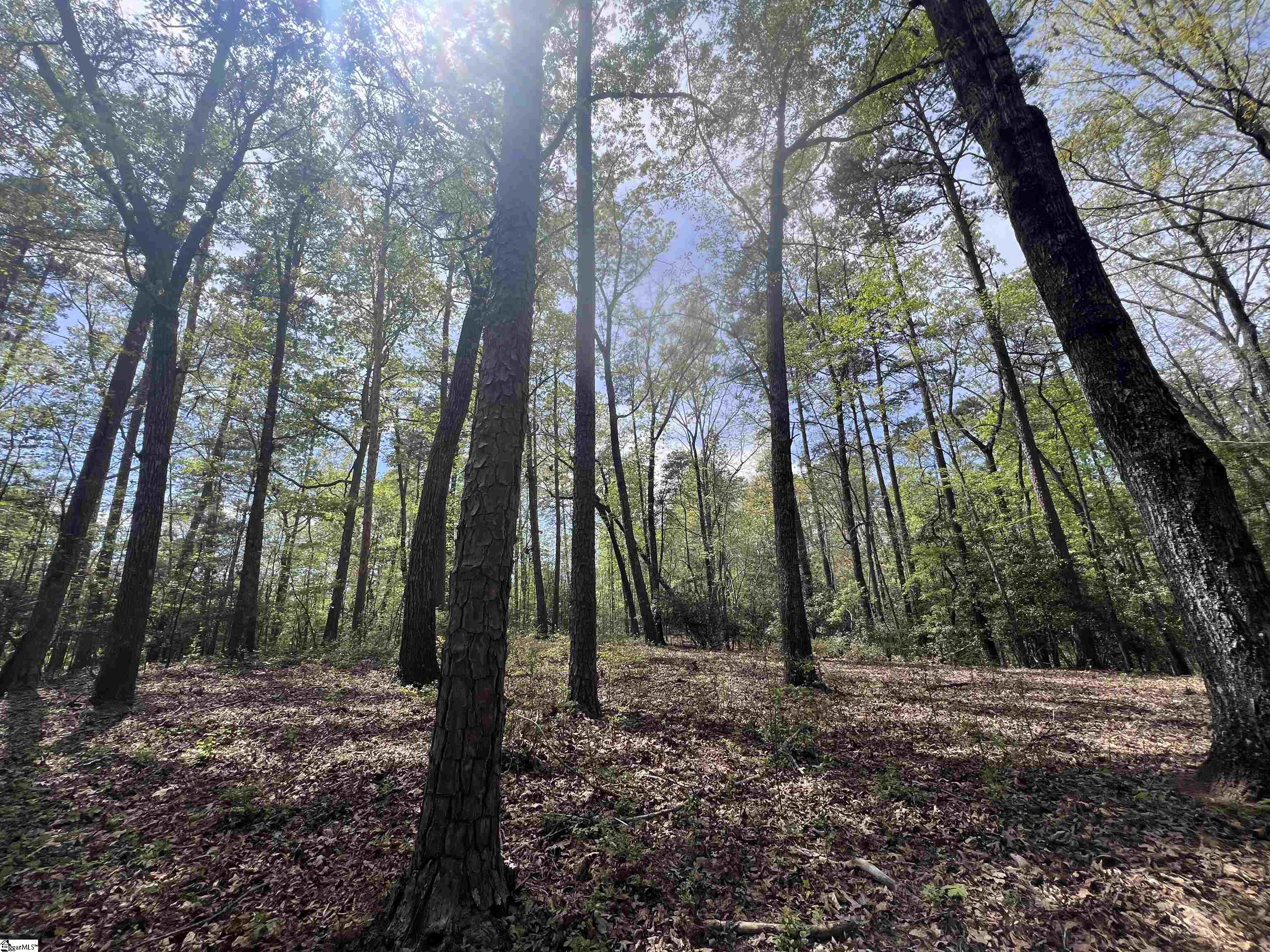 0 Harbor Ridge Road, Unit LOT 149 Seneca, SC 29672 - Photo 4 of 5